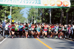 DummyRun