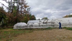 松くい虫被害の急拡大